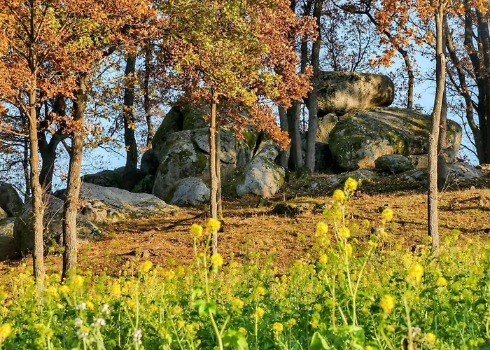 - Im Schwarzachtal Appartement Neunburg vorm Wald